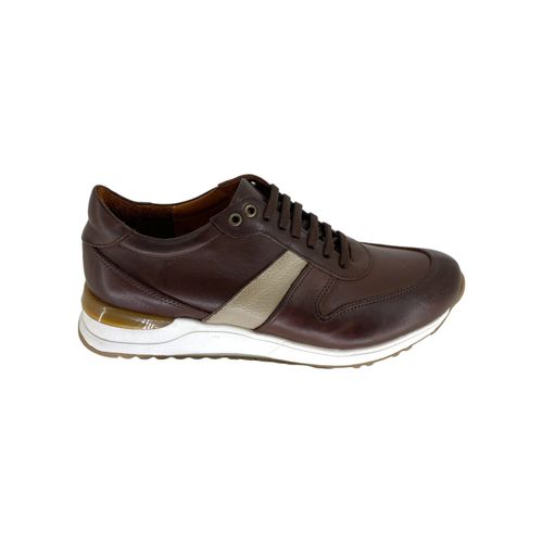 Zapatilla Franco Pasotti Salvi Acordonada Marron