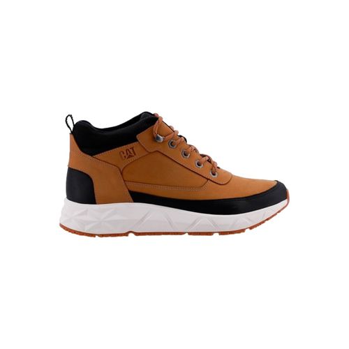 Borcego Caterpillar Prim Camel